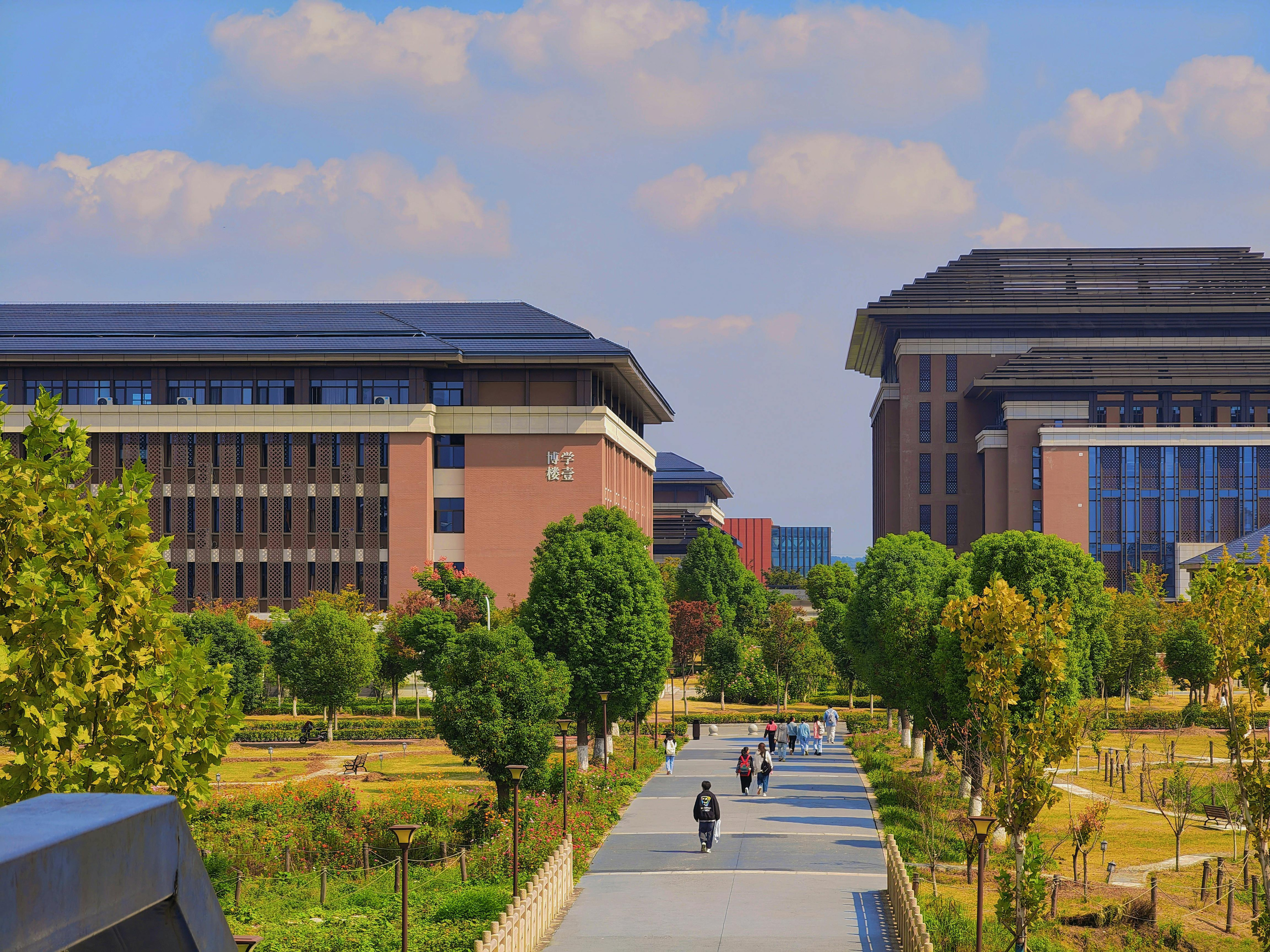 A tree-lined campus walkway between brick academic buildings