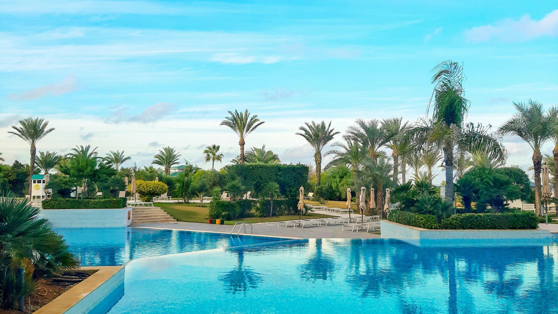 A resort pool lined with palms